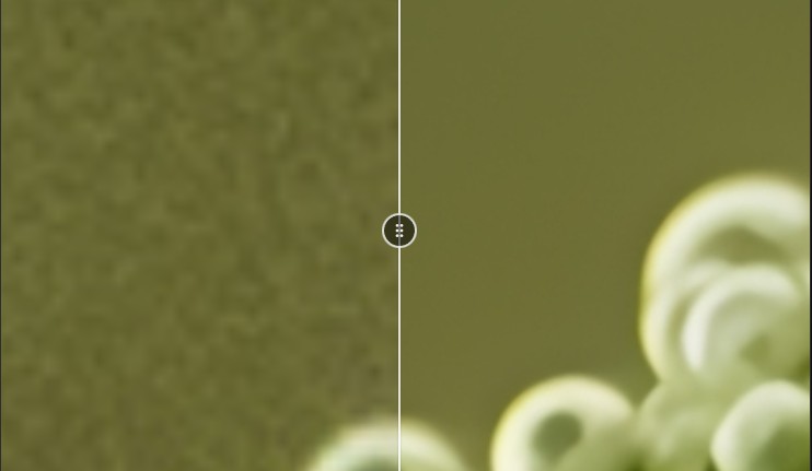 AI image upscale before and after